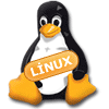 linux ssd hosting